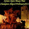 2011-02-25-damascussyria