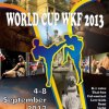 2013-09-04-world-cup-lviv-ukraine