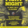 2013-11-16-amstetten-austria