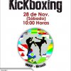 2015-11-28-brasil