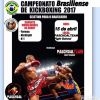 2017-04-15 Brasil