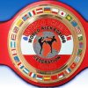 WKF AUSTRIAN national PRO-AM Champion belt