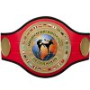 PRO-AM International Champion belt