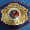 WKF PRO-AM  World Champion belt