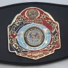 WKF continental champion belt