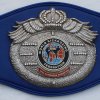 WKF MMA continental champion belt