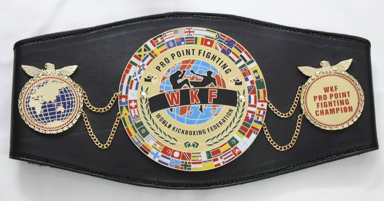 WKF Pro Point Fighting belt