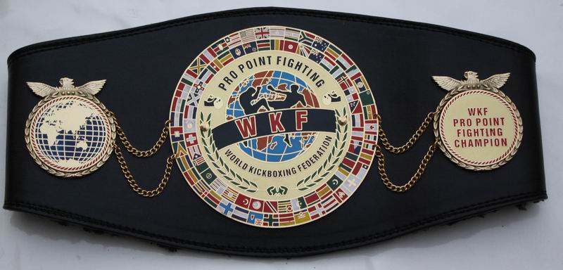 wkf-pro-point-fighting-world-belt