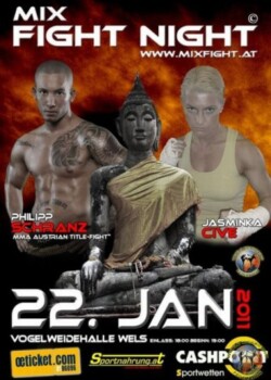 2011-01-22-wels-austria