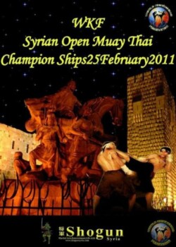 2011-02-25-damascussyria