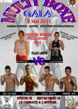 2011-05-07-sarreguemines-france