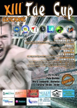 2012-11-25-italy-tornament