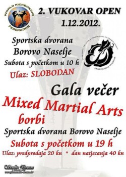 2012-12-01-vukovar-croatia_4