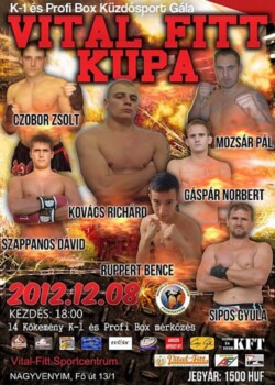 2012-12-08-nagyvenyim-hungary_4