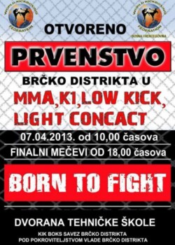 2013-04-07-brcko-bih_web