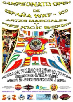 2013-06-29-spain