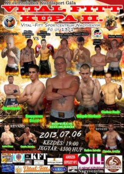2013-07-06 Nagyvenyim, Hungary