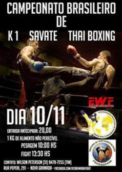 2013-11-10-brazil