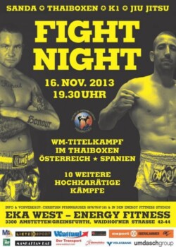 2013-11-16-amstetten-austria