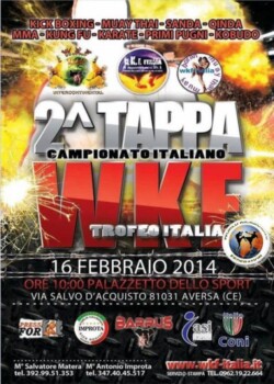 2014-02-16-aversa-italy