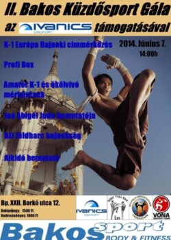 2014-06-07 Budapest, Hungary