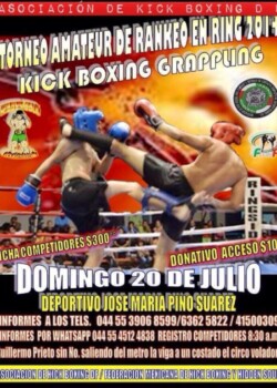 2014-07-20-mexico