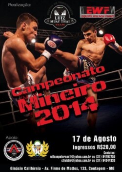 2014-08-14-brasil