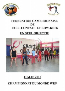 2015-cameroon