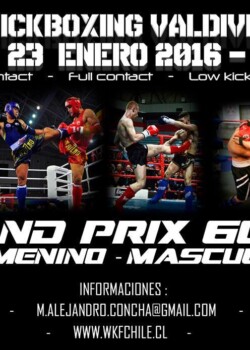 2016-01-23 Chile