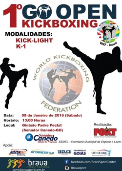 2016-01-09-brasil