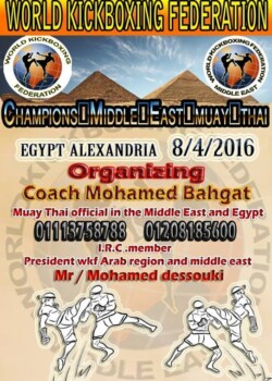 2016-04-08-alexandria-egypt_2