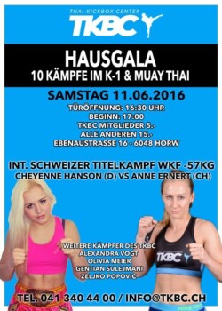 2016-06-07-luzern-switzerland