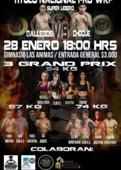 2017-01-20-chile