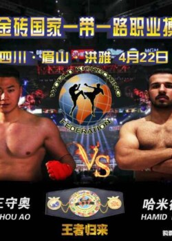 2017-04-22-china-flyer