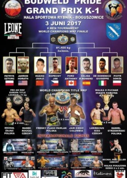 2017-06-03-WKG Poland