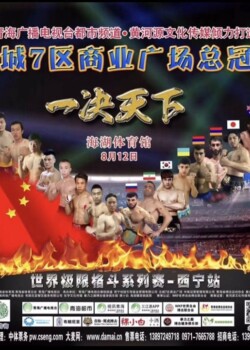 2017-08-12-china