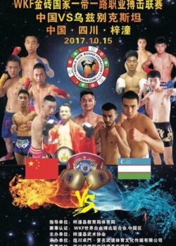 2017-10-15-china