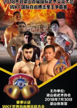 2018-07-30-china
