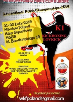 2019-02-01-mikolow-poland