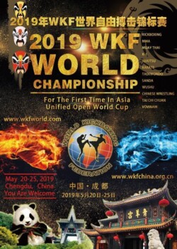 2019-05-20_25-chengdu-world-cup