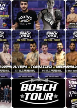 2020-12-20-bosch-tours