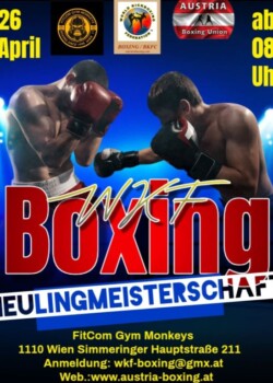 2025.04.26-Neulinge-BOXEN