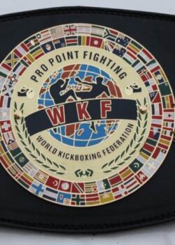 WKF PPF-Pro point fighting belt