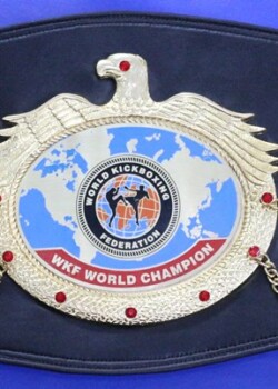 WKF World champion belt